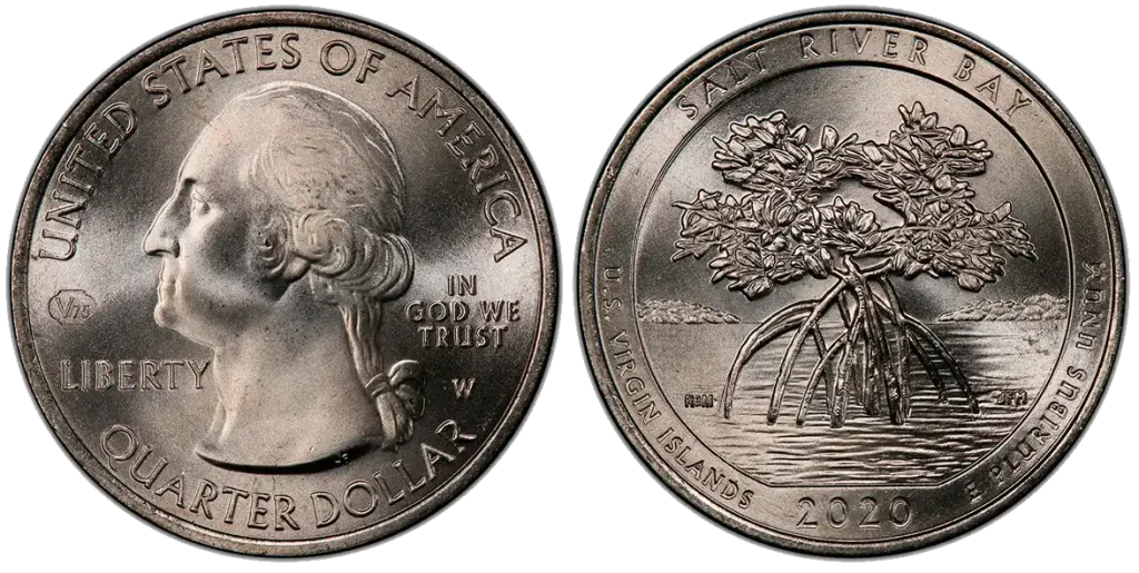 obverse and reverse of the 2020-W 25C